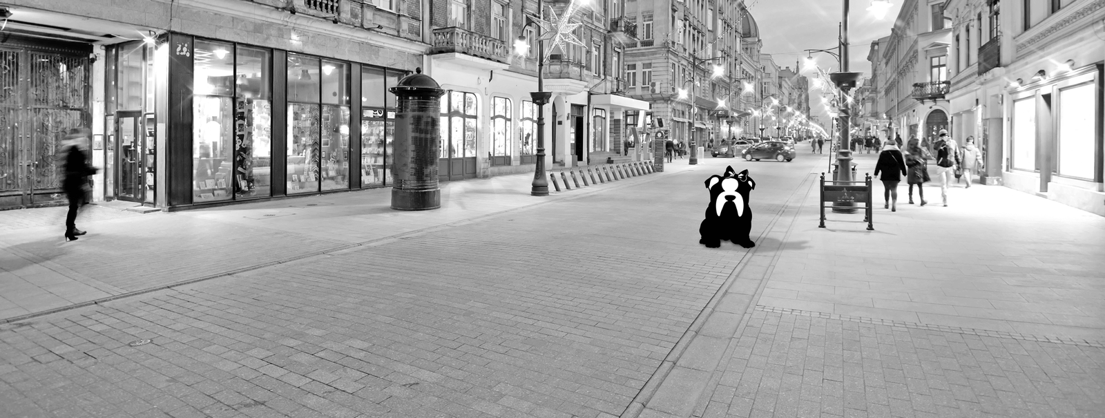 Contacts On Bulldog Street Image